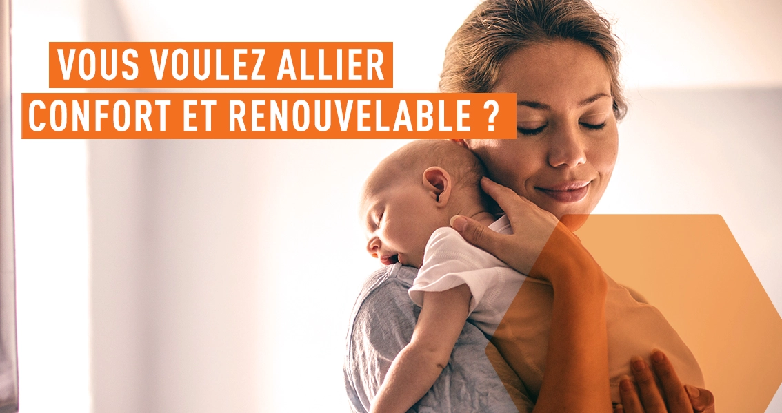 Seguin chaudière granulés une  énergie renouvelable